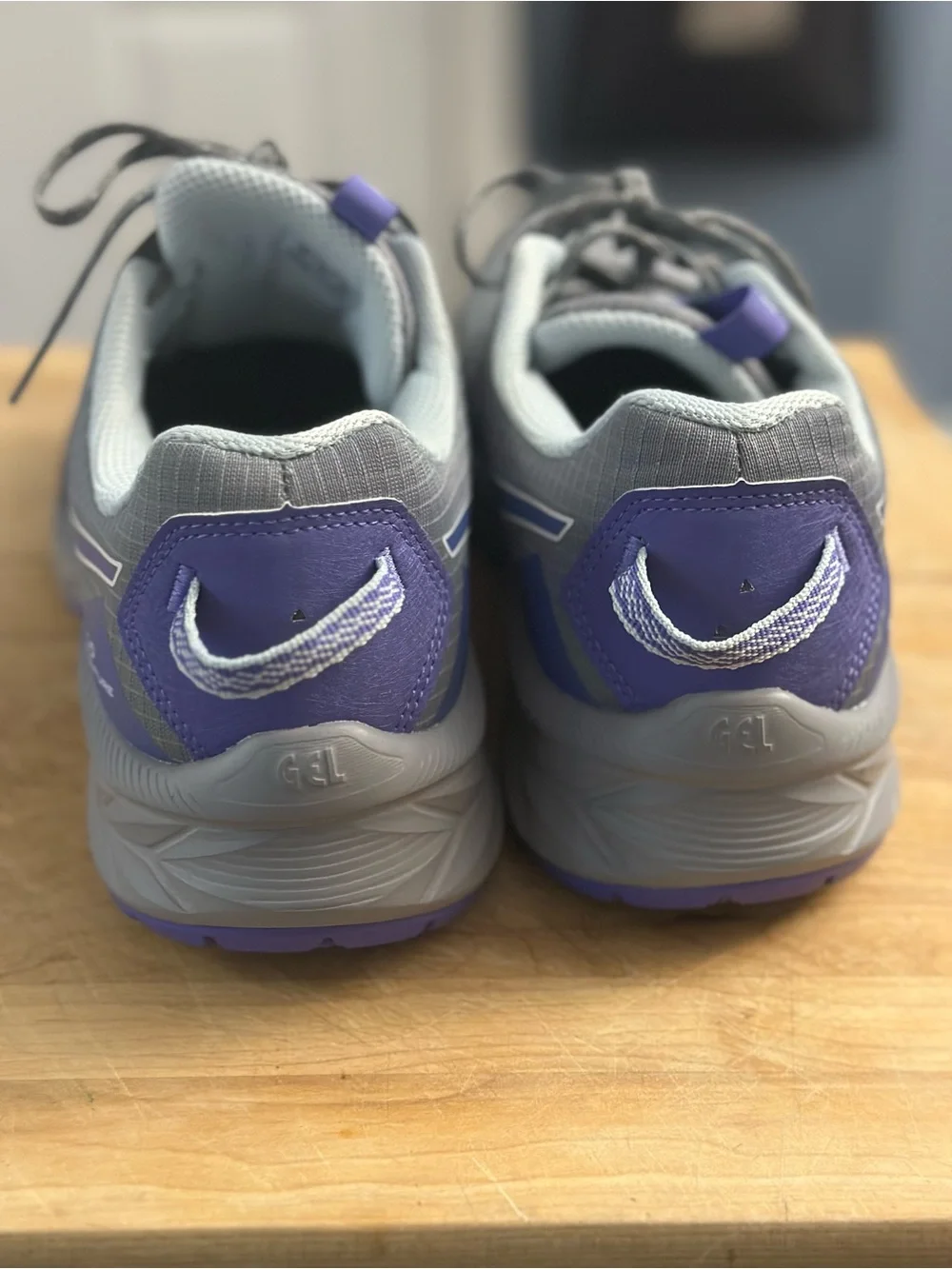 Asics GEL‑Venture 10 Gray and Purple Women's Trail Sneakers